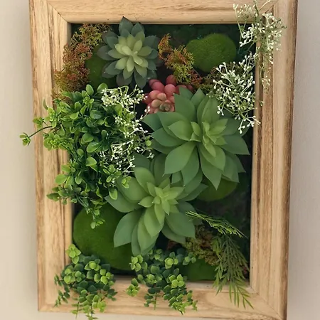 Elia 3 Boulevard * Tiran